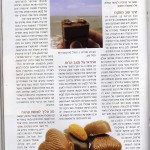 יין גורמה ואלכוהול, דצמבר 2008