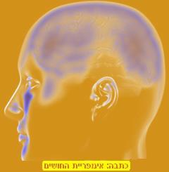 אמפריית החושים, תת מודע בשירות ומכירה במסעדה